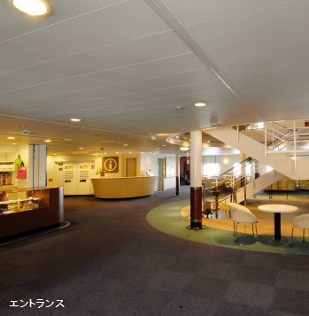 �J�����A���C���\��E�����i�����j�����R�s���t�F���[�i���\��@